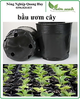 0.5kg túi bầu ươm cây nhựa dẻo- chọn size, bầu nhựa trồng cây, túi trồng cây